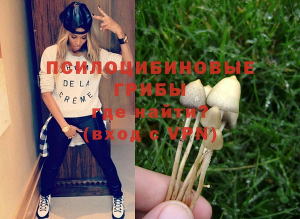 сатива Покров