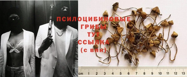 твердый Покачи