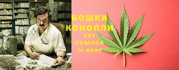сатива Покров