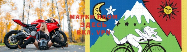 твердый Покачи