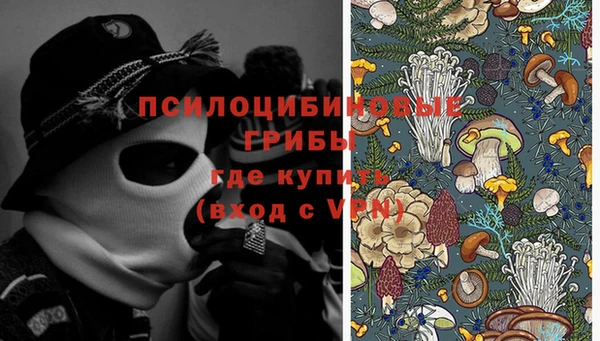 твердый Покачи