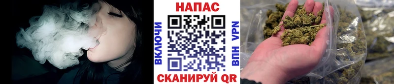 ссылка на мегу онион  мориарти наркотические препараты  Канабис OG Kush  сколько стоит  Красавино 